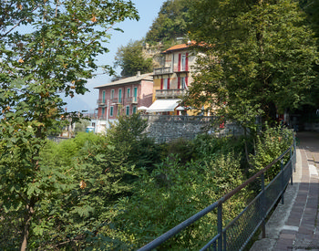 Brunate terrace This landscape photograph captures the Brunate terrace in Como, Italy, during a late summer morning. The image prominently features the architecture of colorful buildings with balconies, one of which houses a restaurant that is identifiable by its outdoor awning. Trees surround the terrace, contributing to the lush greenery characteristic of the region. The scene is typical of the hillside terraces found in Brunate, offering views over the stone walls and pathways, with the forested slopes in the background enhancing the picturesque Italian setting.